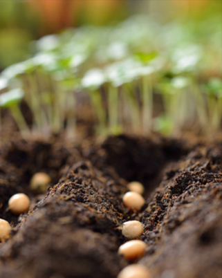 李克強主持召開國務(wù)院常務(wù)會議 確定加強財政民生支出保障的措施